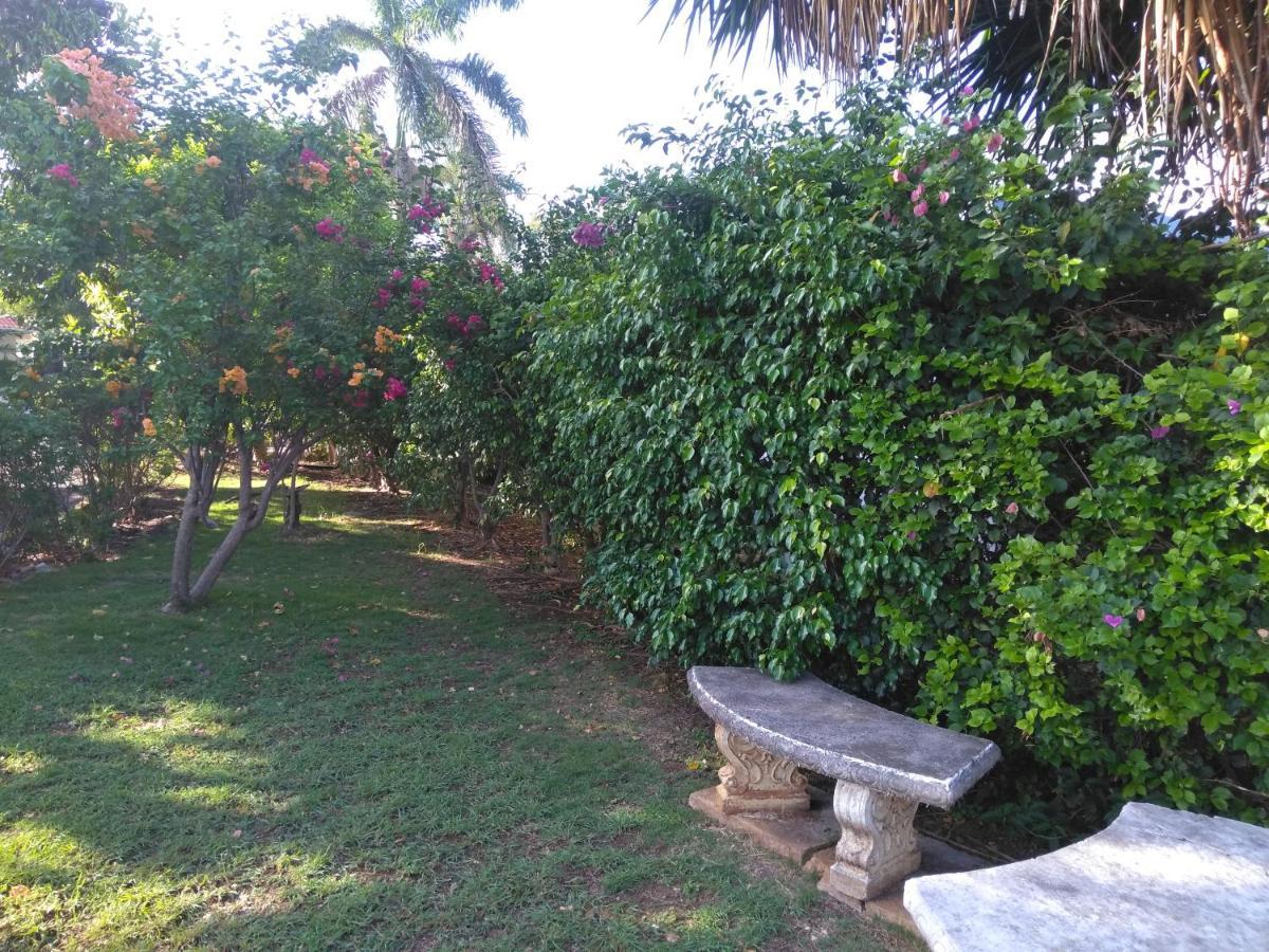 Irresistible View-Mobay Club 1408 Apartment Montego Bay Exterior photo