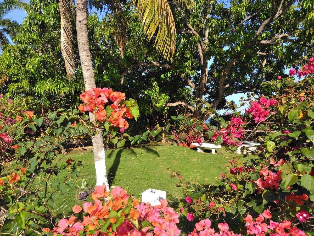 Irresistible View-Mobay Club 1408 Apartment Montego Bay Exterior photo