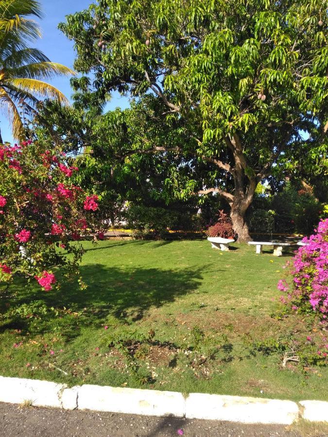Irresistible View-Mobay Club 1408 Apartment Montego Bay Exterior photo